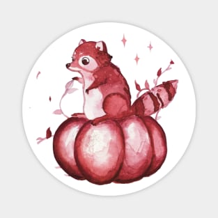 Raccoon on a pumpkin Magnet